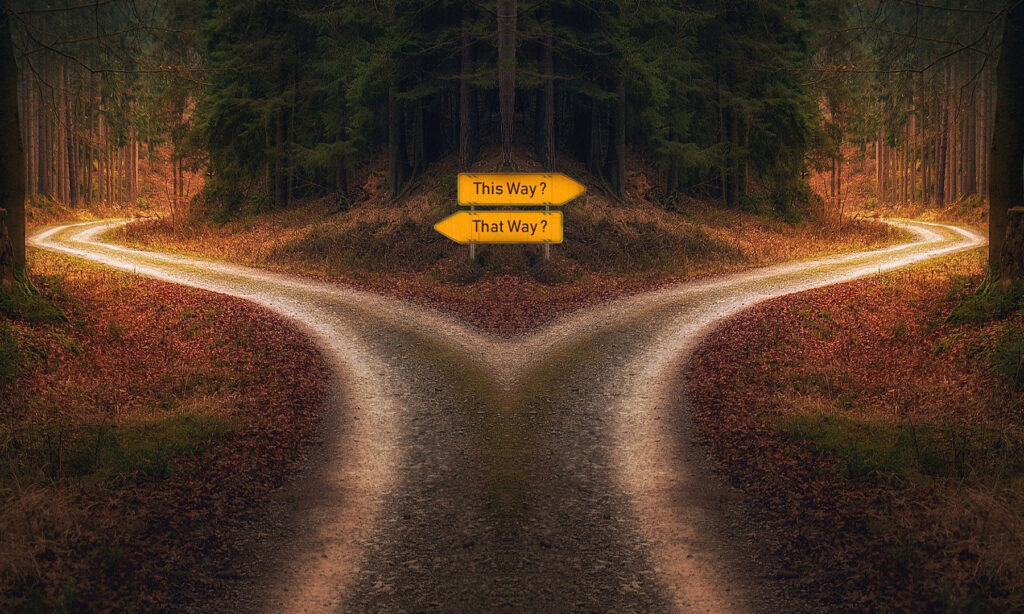 Vägen delar sig, vilken väg ska man gå